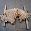 Caucasian elm burl, approx. 1390 x 740/460 x 40 mm, 41235
