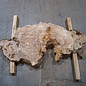 Caucasian elm burl, approx. 1390 x 740/460 x 40 mm, 41235