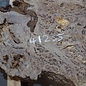 Caucasian elm burl, approx. 1390 x 740/460 x 40 mm, 41235