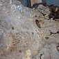 Caucasian elm burl, approx. 1390 x 740/460 x 40 mm, 41235