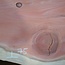 Redwood Tischplatte, ca. 4000 x 570/1030/900 x 50 mm, 13651