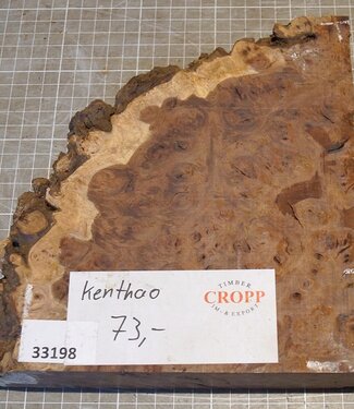 Kenthao Ironwood, approx. 170 x 195 x 45mm, 1,72kg