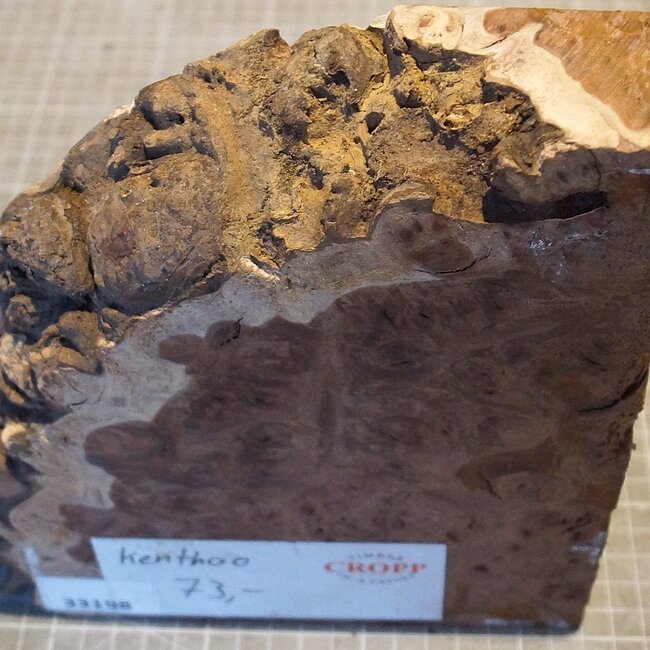 Kenthao Ironwood, approx. 170 x 195 x 45mm, 1,72kg