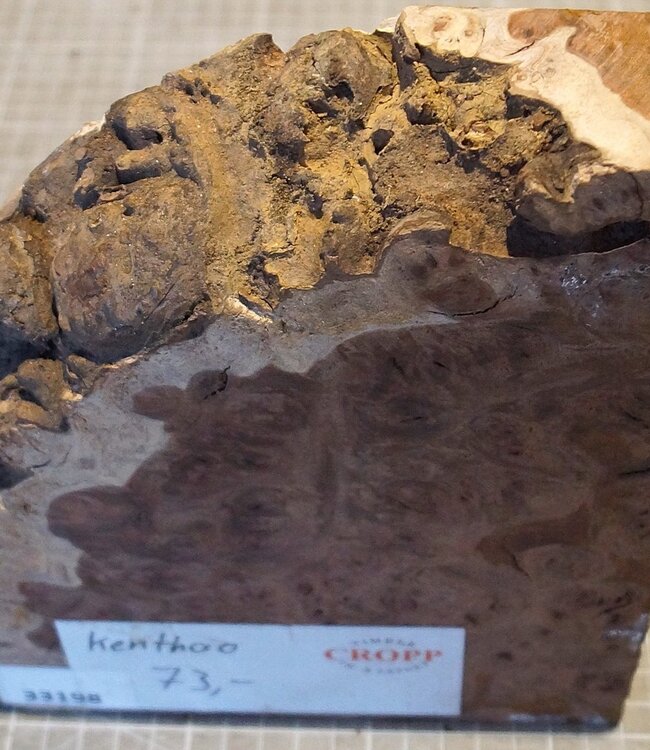 Kenthao Eisenholz, ca. 170 x 195 x 45mm, 1,72kg