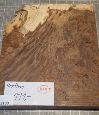 Kenthao Ironwood, approx. 225 x 250 x 50mm, 2,64kg