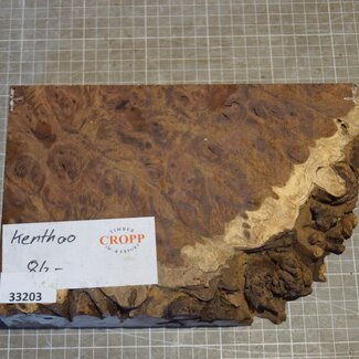 Kenthao Eisenholz, ca. 254 x 165 x 46mm, 2,0kg