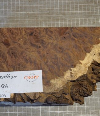 Kenthao Ironwood, approx. 254 x 165 x 46mm, 2,0kg