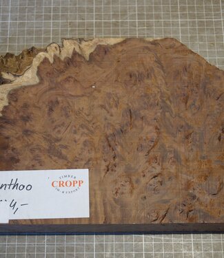 Kenthao Ironwood, approx. 280 x 200 x 50mm, 2,9kg