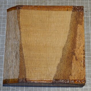 Korkeiche, ca. 170 x 170 x 52mm, 1,08kg