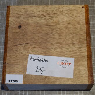 Cork oak, approx. 200 x 200 x 55mm, 1,58kg