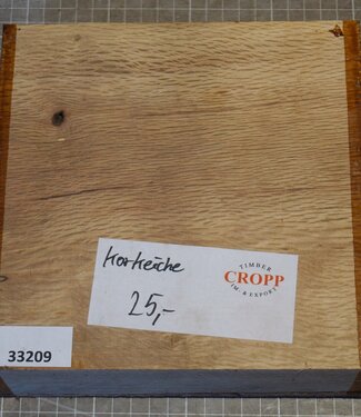 Korkeiche, ca. 200 x 200 x 55mm, 1,58kg
