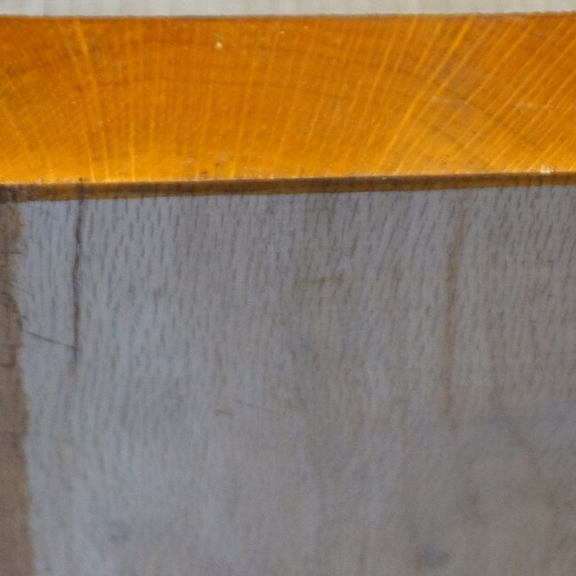 Korkeiche, ca. 240 x 232 x 55mm, 2,2kg