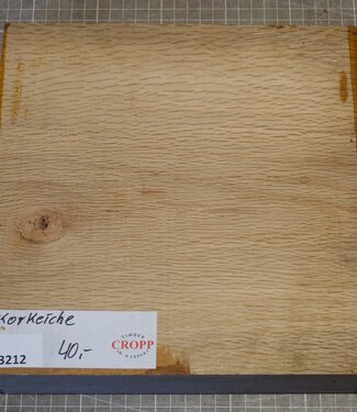 Cork oak, approx. 253 x 254 x 54mm, 2,46kg