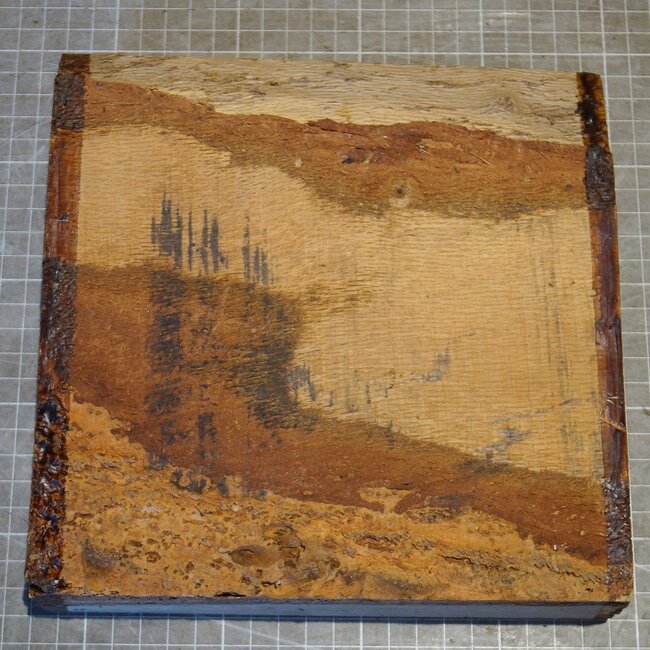 Korkeiche, ca. 200 x 200 x 52mm, 1,68kg