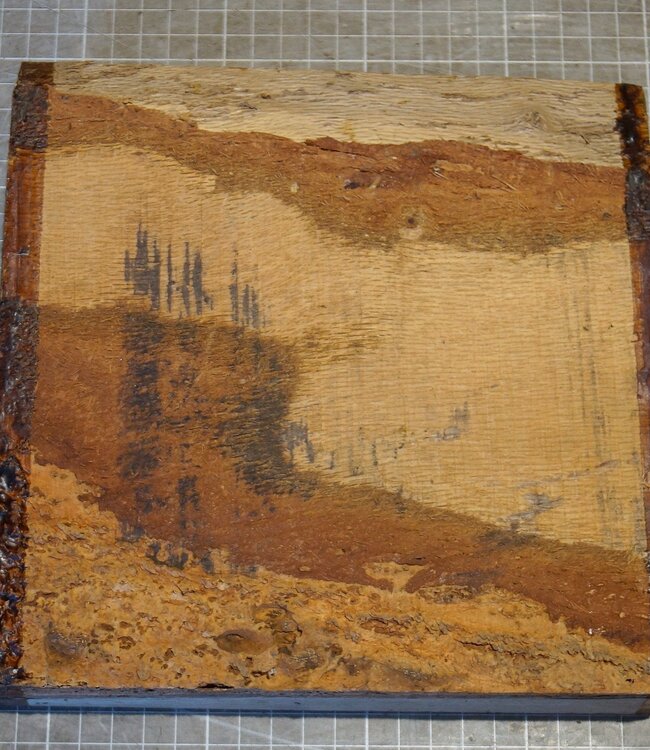 Korkeiche, ca. 200 x 200 x 52mm, 1,68kg