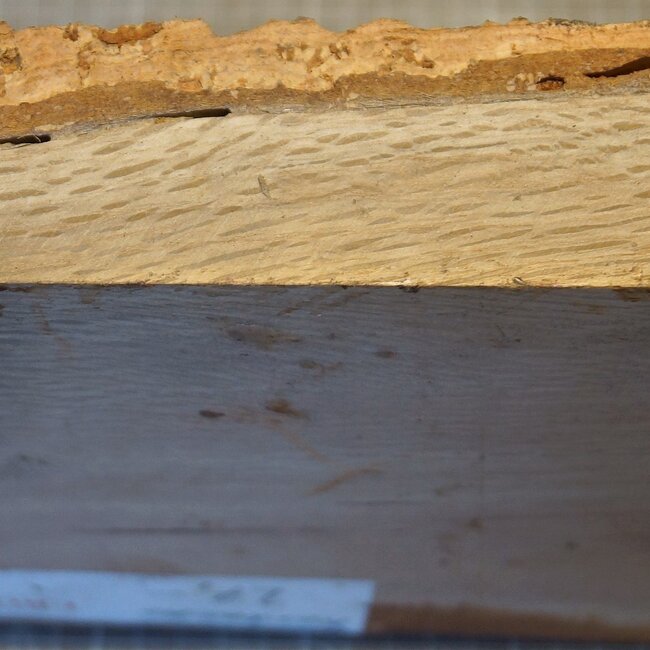 Korkeiche, ca. 200 x 200 x 52mm, 1,68kg