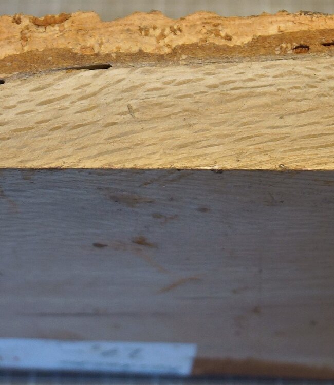 Korkeiche, ca. 200 x 200 x 52mm, 1,68kg