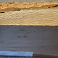 Cork oak, approx. 200 x 200 x 52mm, 1,68kg