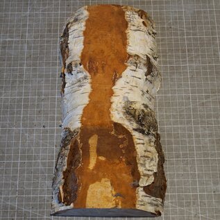 Birke Maser, ca. 135-150 x 304 x 50mm, 1,34kg