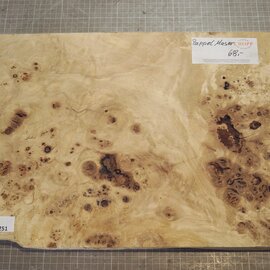 Pappel Maser, ca. 450 x 337 x 52mm, 2,98kg