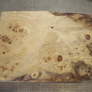 Pappel Maser, ca. 450 x 337 x 52mm, 2,98kg