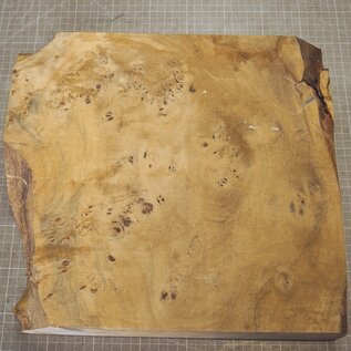 Pappel Maser, ca. 364 x 343 x 63mm, 2,98kg