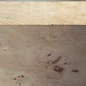 Mappa, poplar burl, approx. 364 x 343 x 63mm, 2,98kg