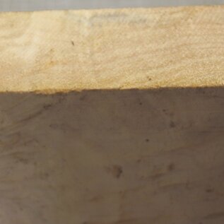 Pappel Maser, ca. 263 x 265 x 62mm, 1,56kg