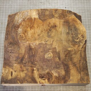 Pappel Maser, ca. 262 x 247 x 52mm, 1,4kg