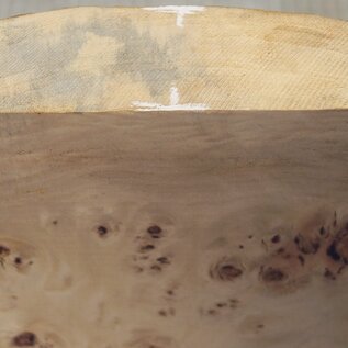 Pappel Maser, ca. 262 x 247 x 52mm, 1,4kg