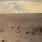 Pappel Maser, ca. 262 x 247 x 52mm, 1,4kg