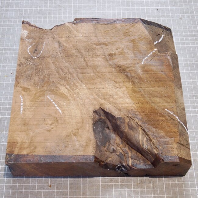 Kaukasischer Nussbaum, ca. 270 x 270 x 60 mm, 2,5 kg