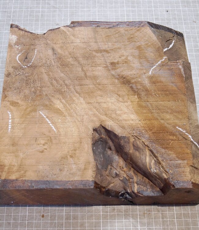 Kaukasischer Nussbaum, ca. 270 x 270 x 60 mm, 2,5 kg