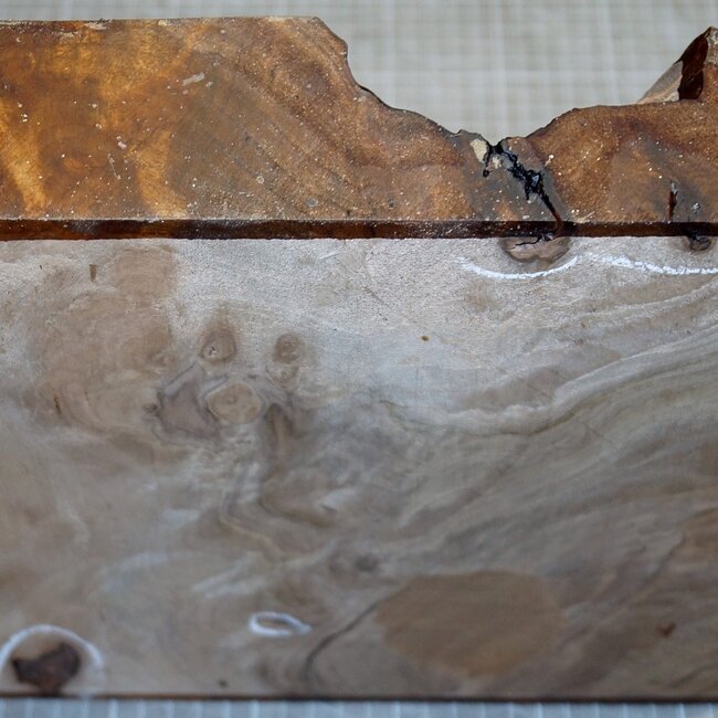 Kaukasischer Nussbaum, ca. 270 x 270 x 60 mm, 2,5 kg