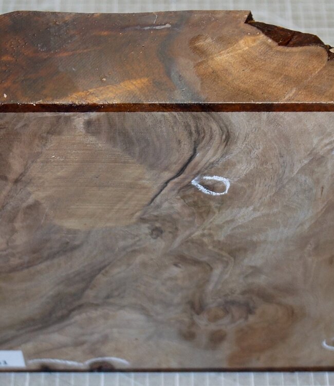 Kaukasischer Nussbaum, ca. 270 x 270 x 60 mm, 2,5 kg