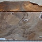 Kaukasischer Nussbaum, ca. 270 x 270 x 60 mm, 2,5 kg