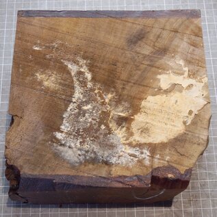 Kaukasischer Nussbaum, ca. 200 x 200 x 65 mm, 1,5 kg