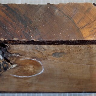Caucasian Walnut, approx. 200 x 200 x 65 mm, 1,5 kg