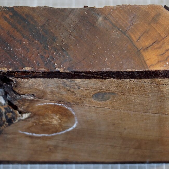 Kaukasischer Nussbaum, ca. 200 x 200 x 65 mm, 1,5 kg