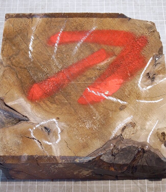 Kaukasischer Nussbaum, ca. 230 x 230 x 65 mm, 1,4 kg