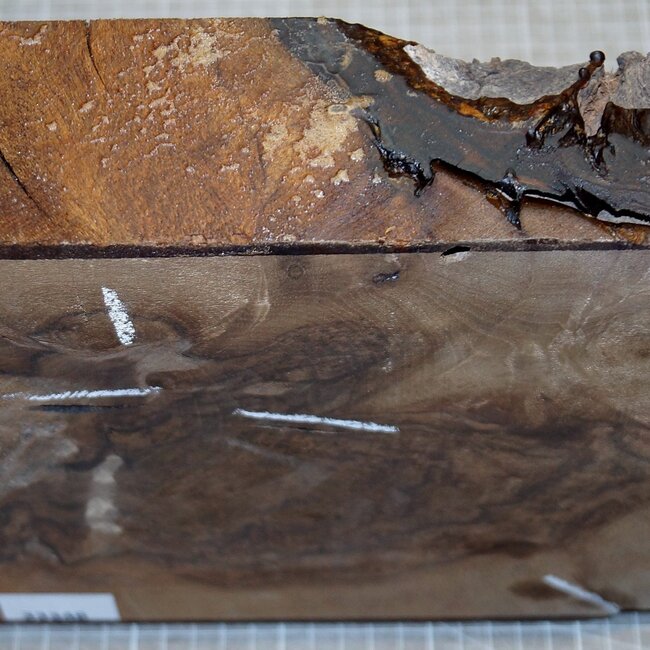 Kaukasischer Nussbaum, ca. 230 x 230 x 65 mm, 1,4 kg