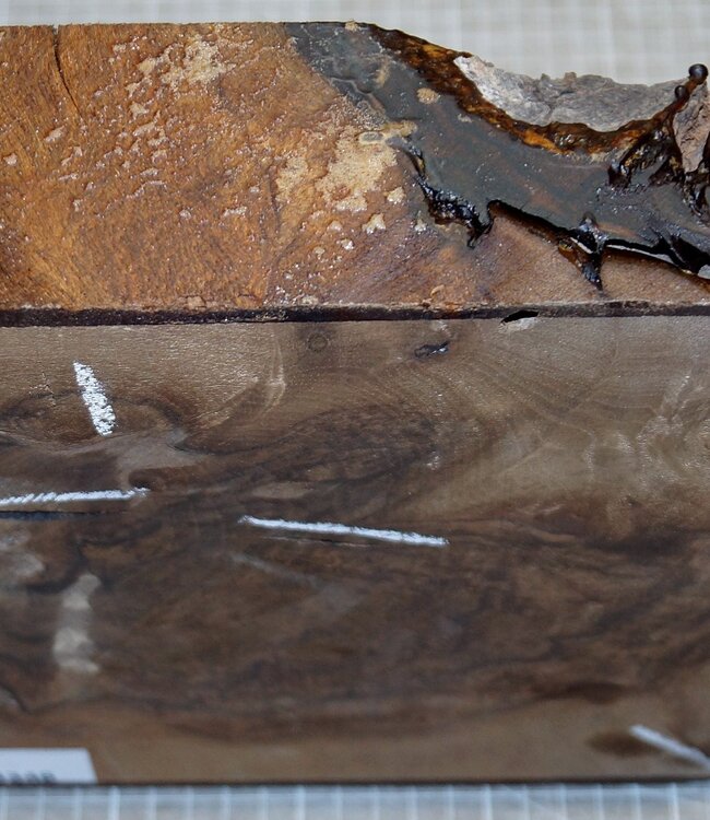 Caucasian Walnut, approx. 230 x 230 x 65 mm, 1,4 kg