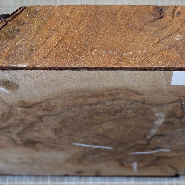 Kaukasischer Nussbaum, ca. 230 x 230 x 65 mm, 1,4 kg