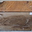 Caucasian Walnut, approx. 230 x 230 x 65 mm, 1,4 kg