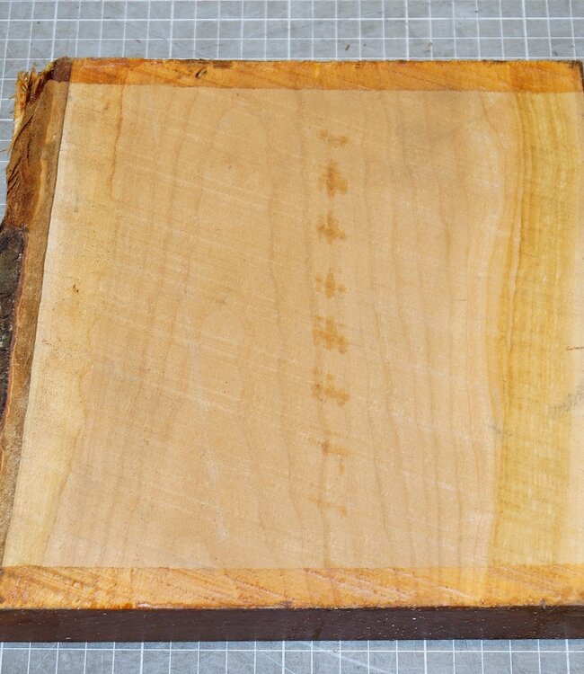 Kirschbaum, ca. 210 x 210 x 50 mm, 1,3 kg