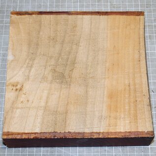 Rüster, ca. 190 x 190 x 48 mm, 1,3 kg