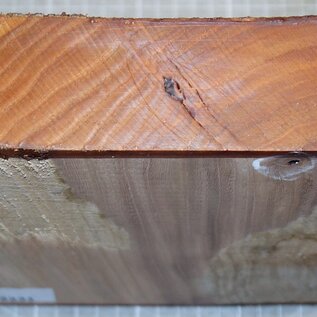 Elm, approx. 190 x 190 x 50 mm, 1,3 kg