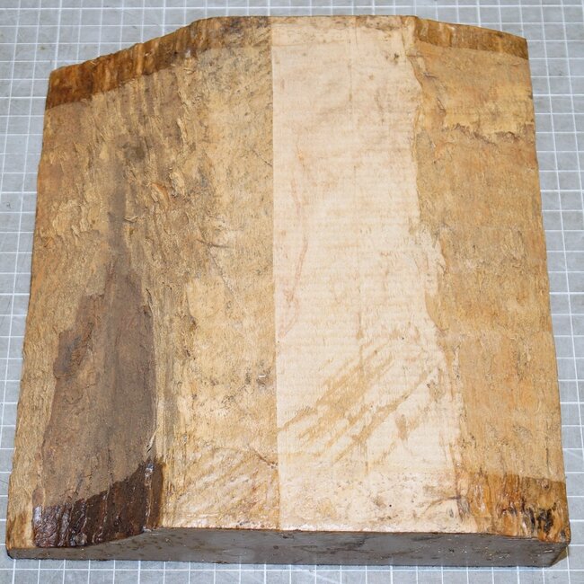 Spitzahorn, gemuschelt, ca. 220 x 215 x 54 mm, 1,4 kg