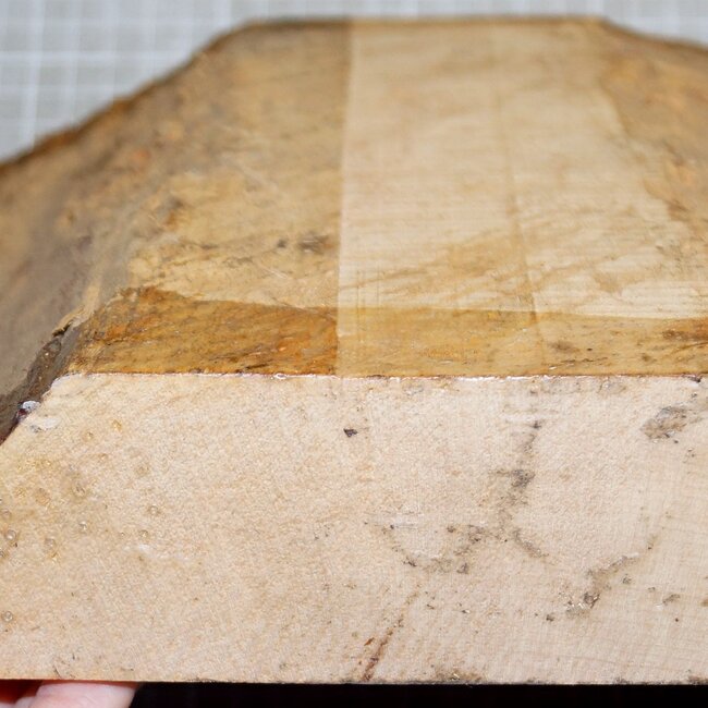 Spitzahorn, gemuschelt, ca. 220 x 215 x 54 mm, 1,4 kg