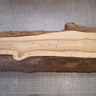 Yew, approx. 400 x 160 x 73 mm, 3,1 kg